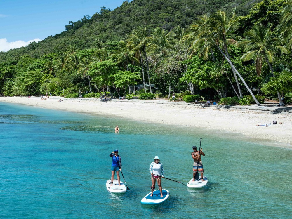Reef SUP Tour Fitzroy Island Paddle & Snorkel Adventure www